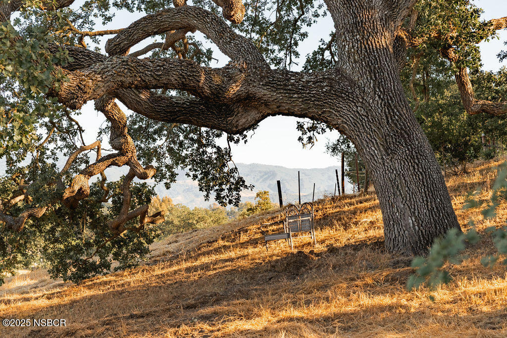 Santa Ynez, California 93460, United States, 4 Bedrooms Bedrooms, ,6 BathroomsBathrooms,Residential,Active,204391