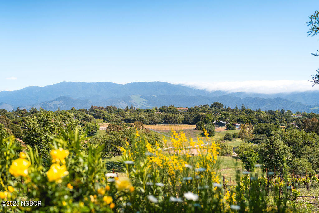 Santa Ynez, California 93460, United States, 4 Bedrooms Bedrooms, ,6 BathroomsBathrooms,Residential,Active,204391