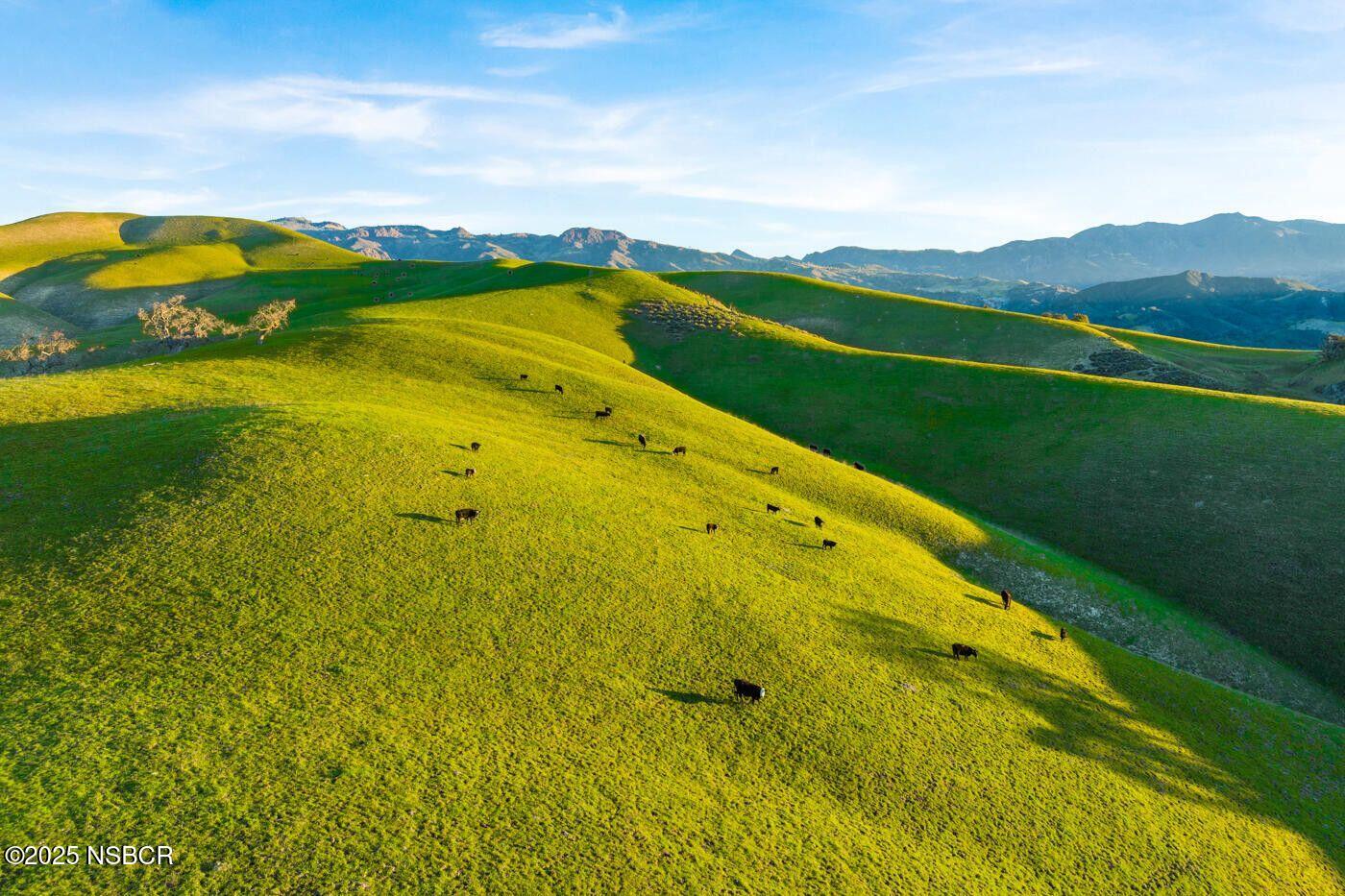 Santa Ynez, California 93460, United States, 45 Bedrooms Bedrooms, ,46 BathroomsBathrooms,Residential,Active,235373