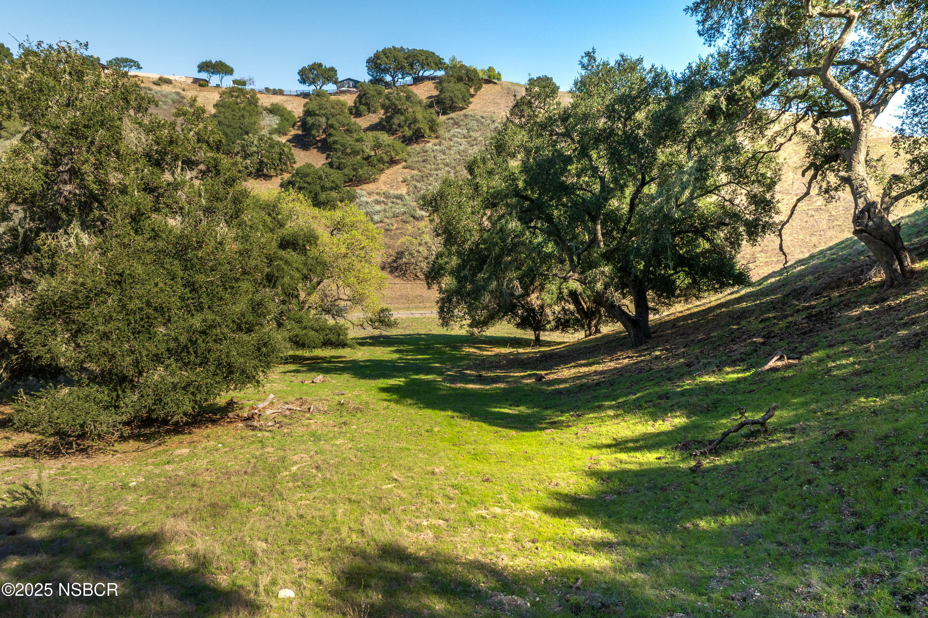 Santa Ynez, California 93460, United States, ,Land,Active,100208