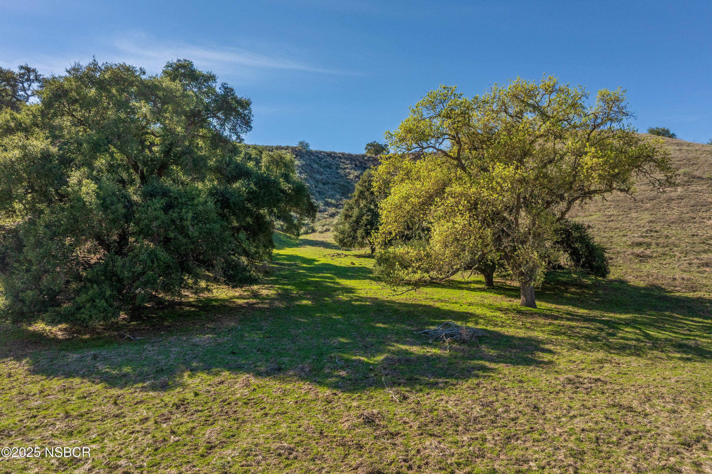 Santa Ynez, California 93460, United States, ,Land,Active,100208