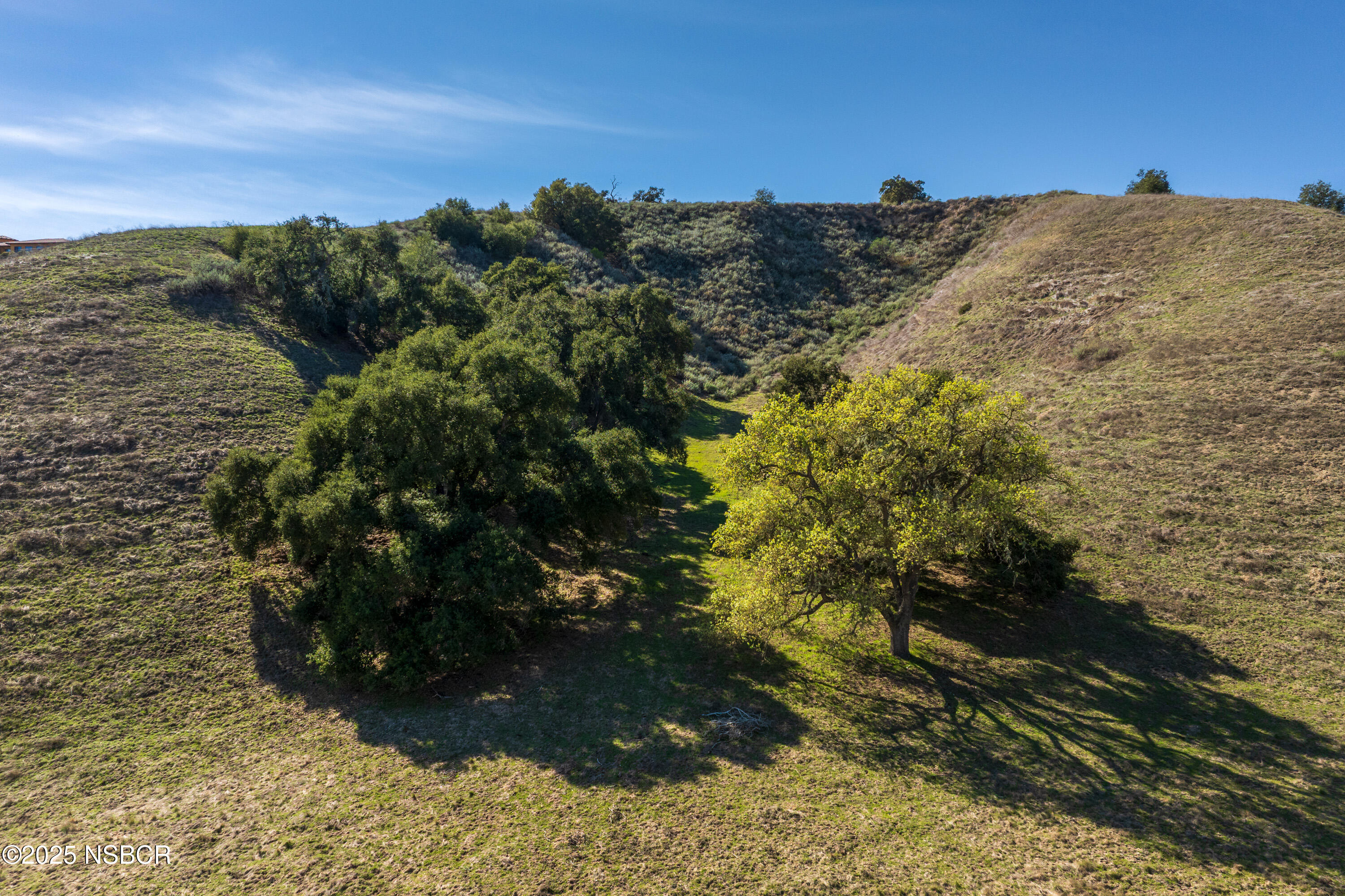 Santa Ynez, California 93460, United States, ,Land,Active,100208