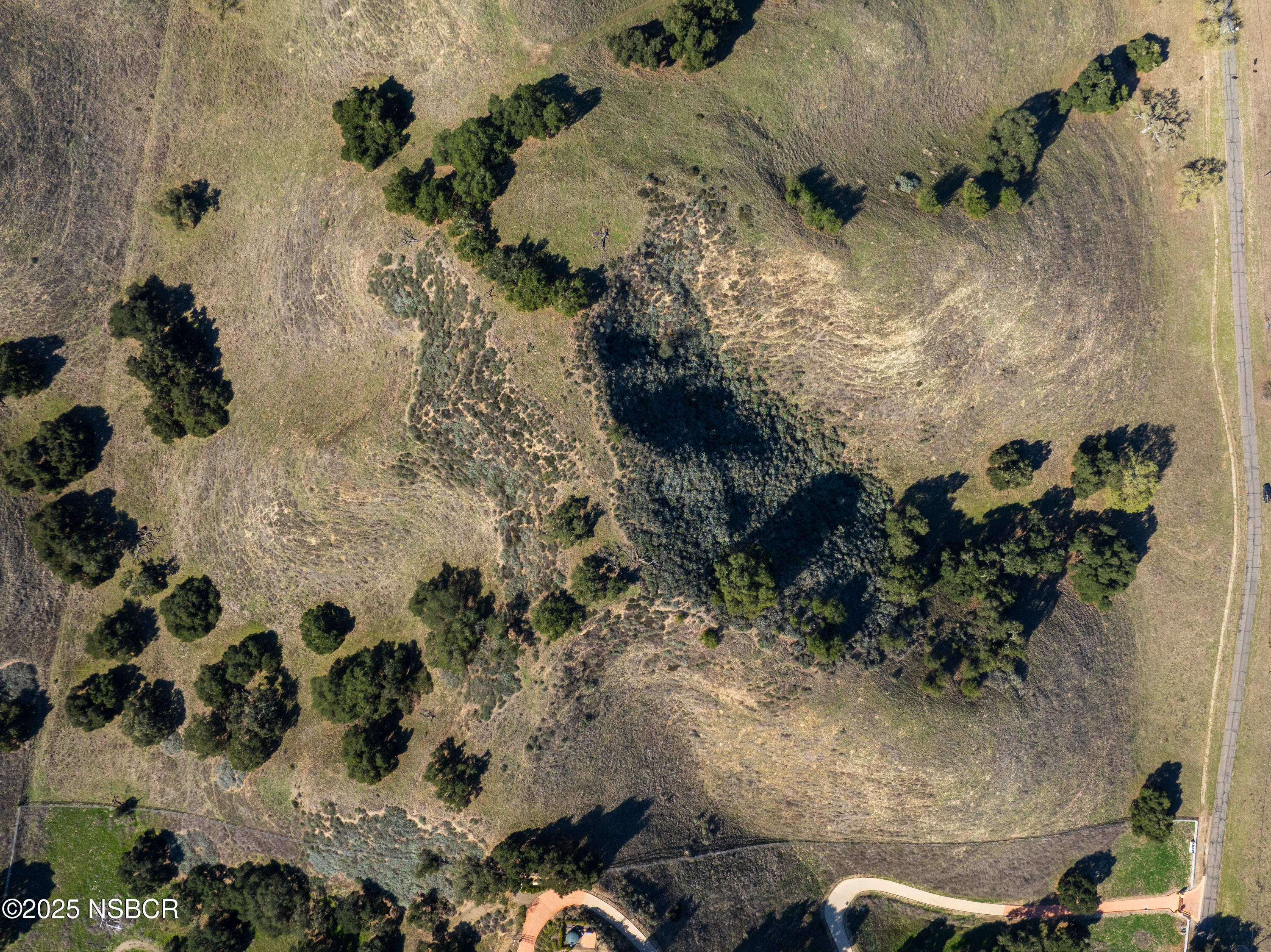 Santa Ynez, California 93460, United States, ,Land,Active,100208