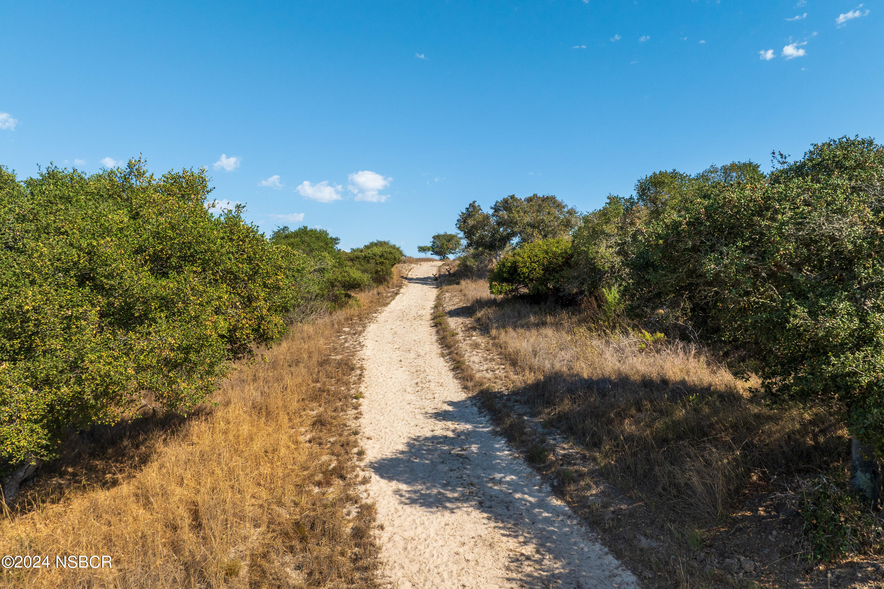 Lompoc, California 93436, United States, 3 Bedrooms Bedrooms, ,3 BathroomsBathrooms,Residential,Pending,39126