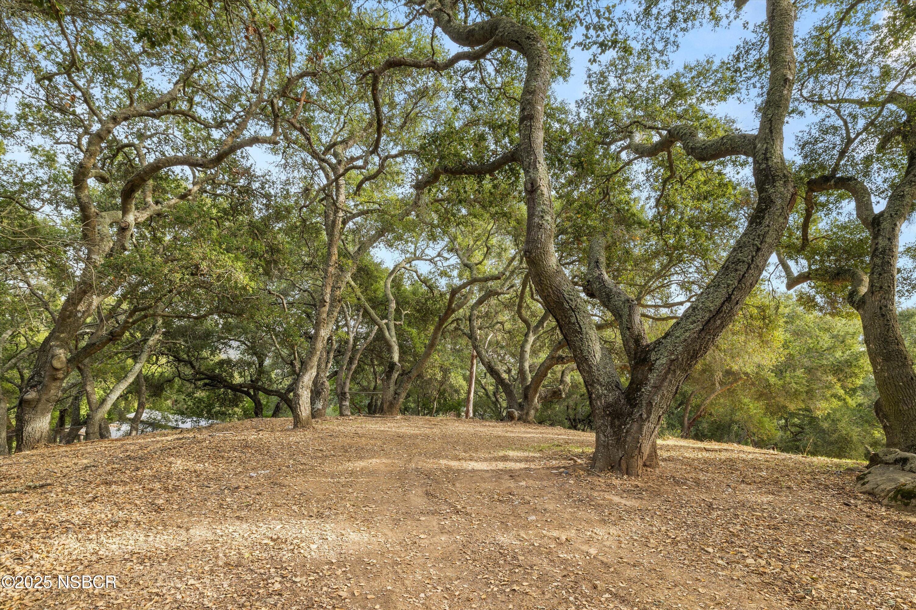 Santa Ynez, California 93460, United States, 4 Bedrooms Bedrooms, ,3 BathroomsBathrooms,Residential,Active,21814