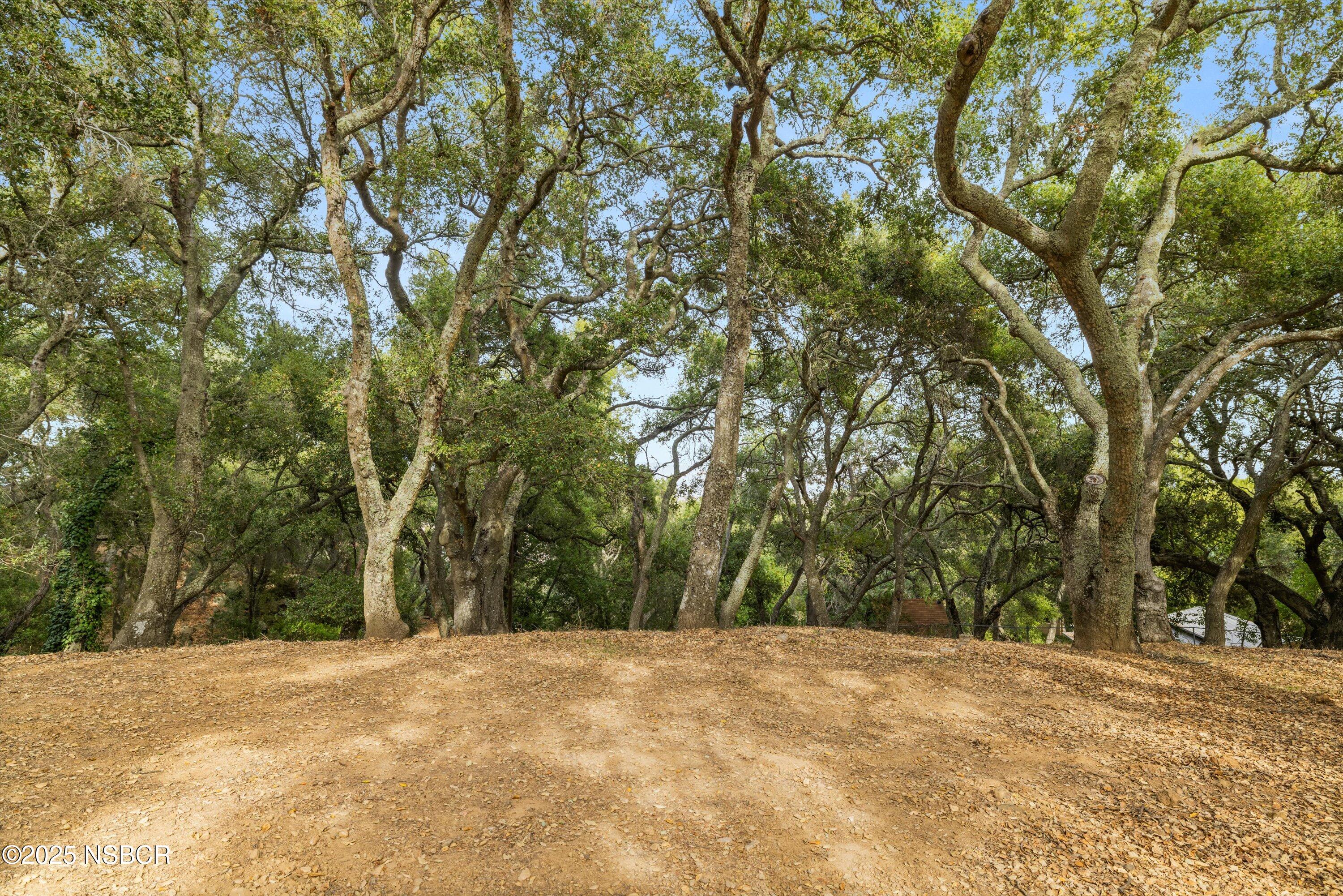 Santa Ynez, California 93460, United States, 4 Bedrooms Bedrooms, ,3 BathroomsBathrooms,Residential,Active,21814