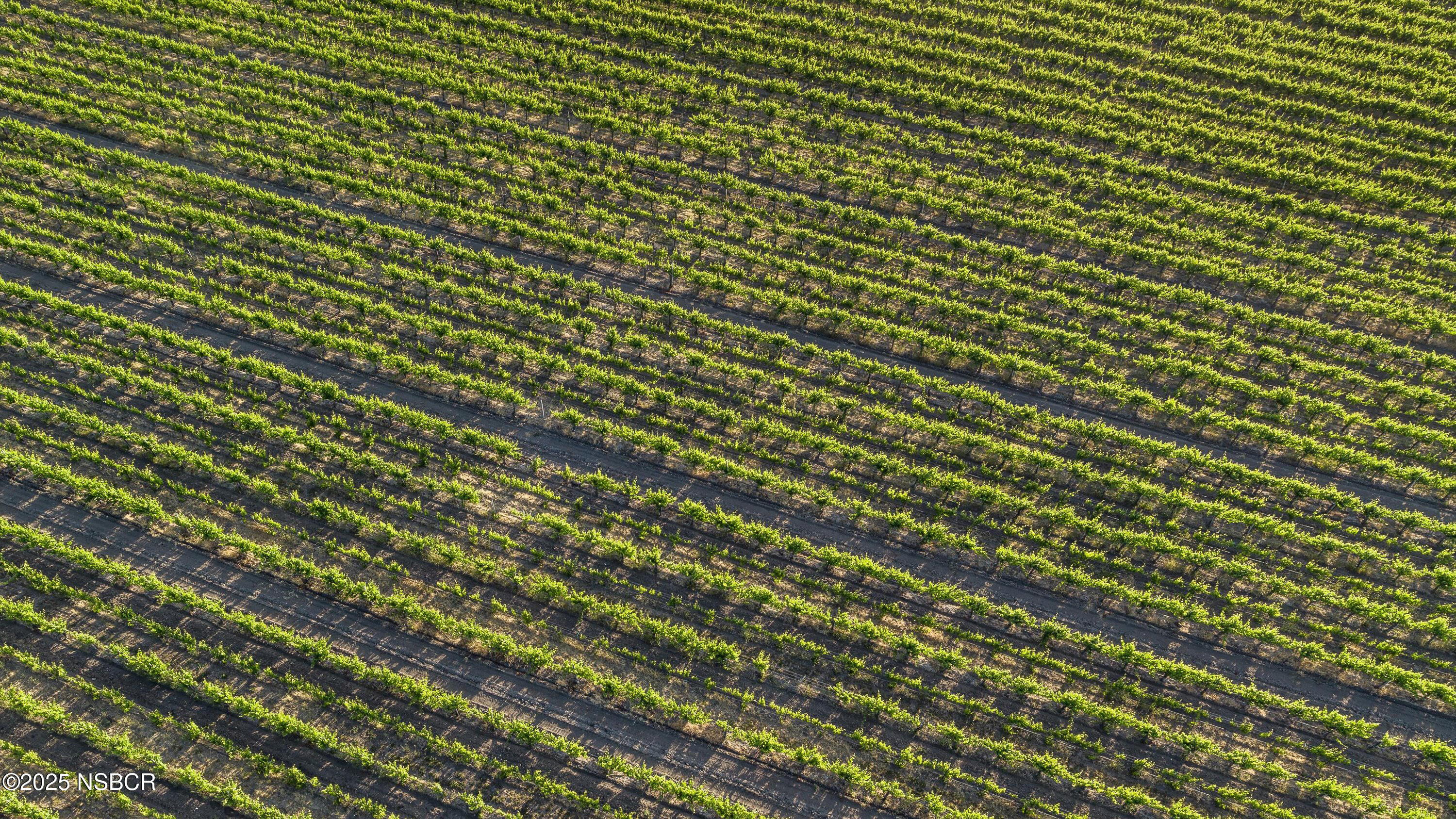 Los Alamos, California 93440, United States, ,Land,Pending,171339