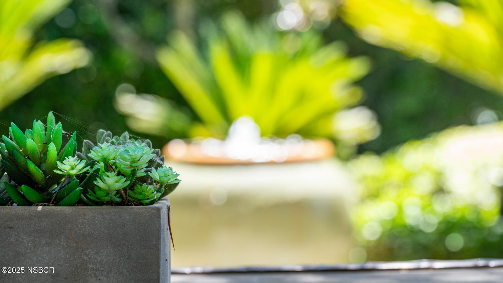 Santa Ynez, California 93460, United States, 3 Bedrooms Bedrooms, ,2 BathroomsBathrooms,Residential,Active,151821