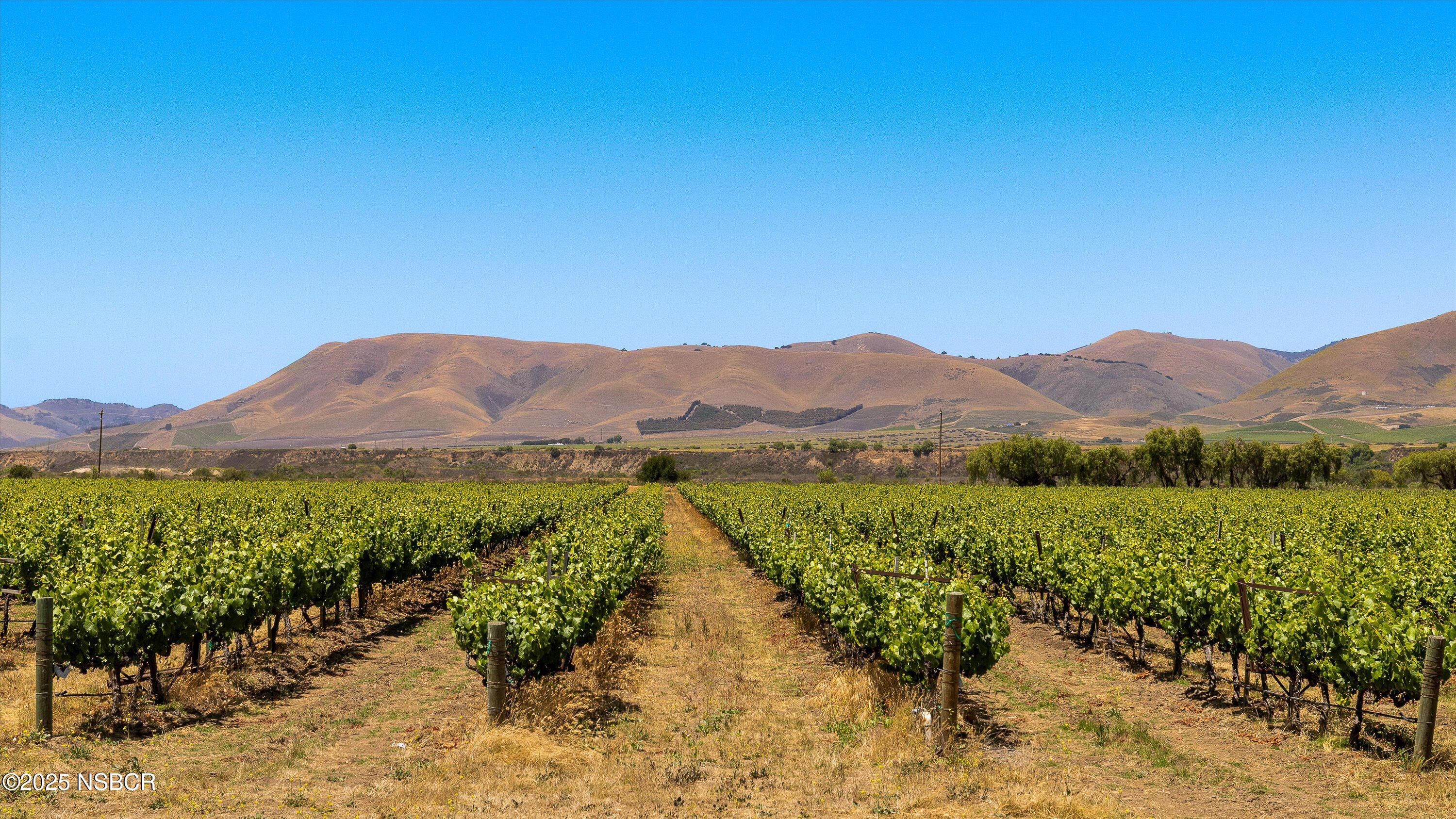 Santa Maria, California 93454, United States, ,Land,Active,171341