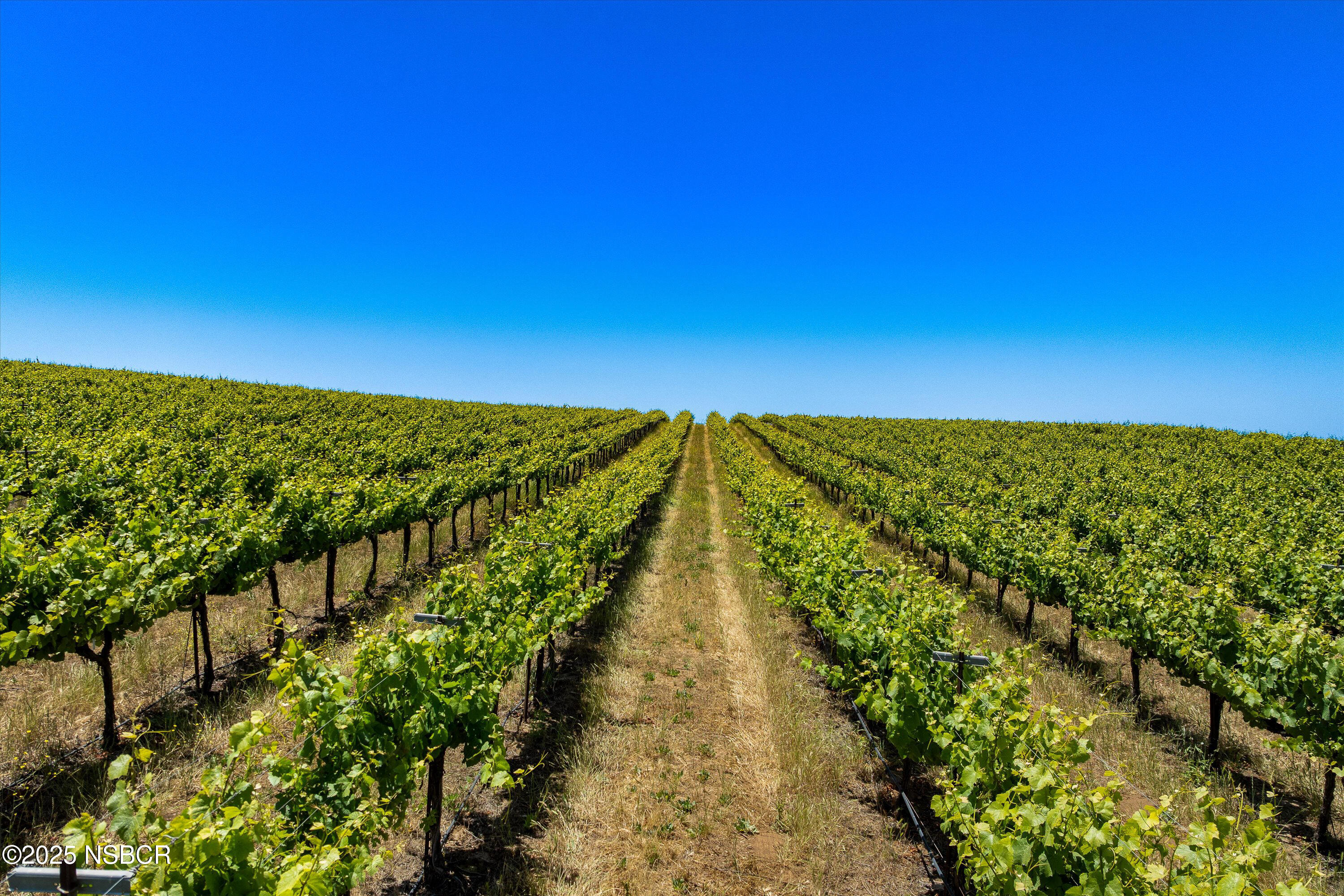 Santa Maria, California 93454, United States, ,Land,Active,171341