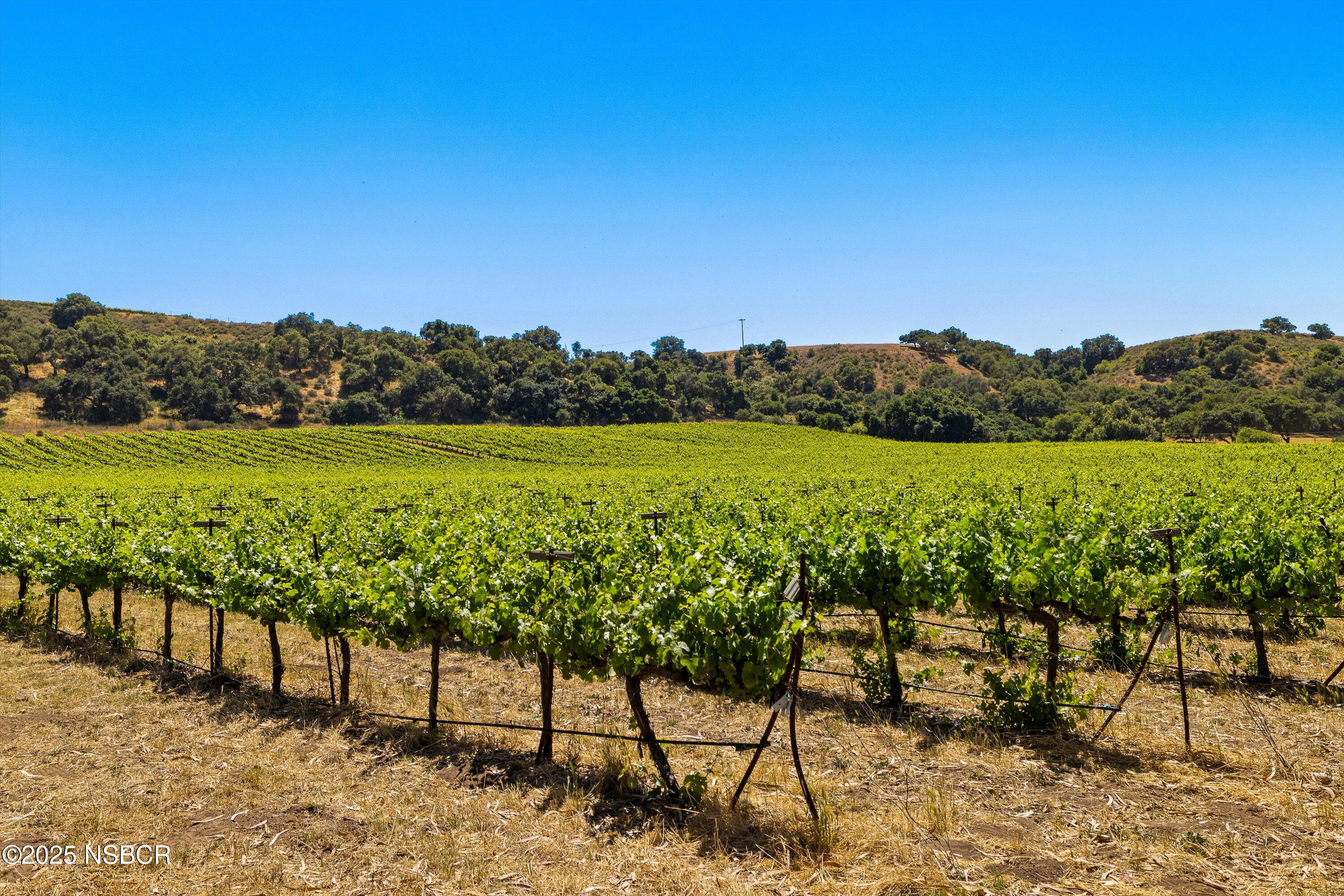 Santa Maria, California 93454, United States, ,Land,Active,171341