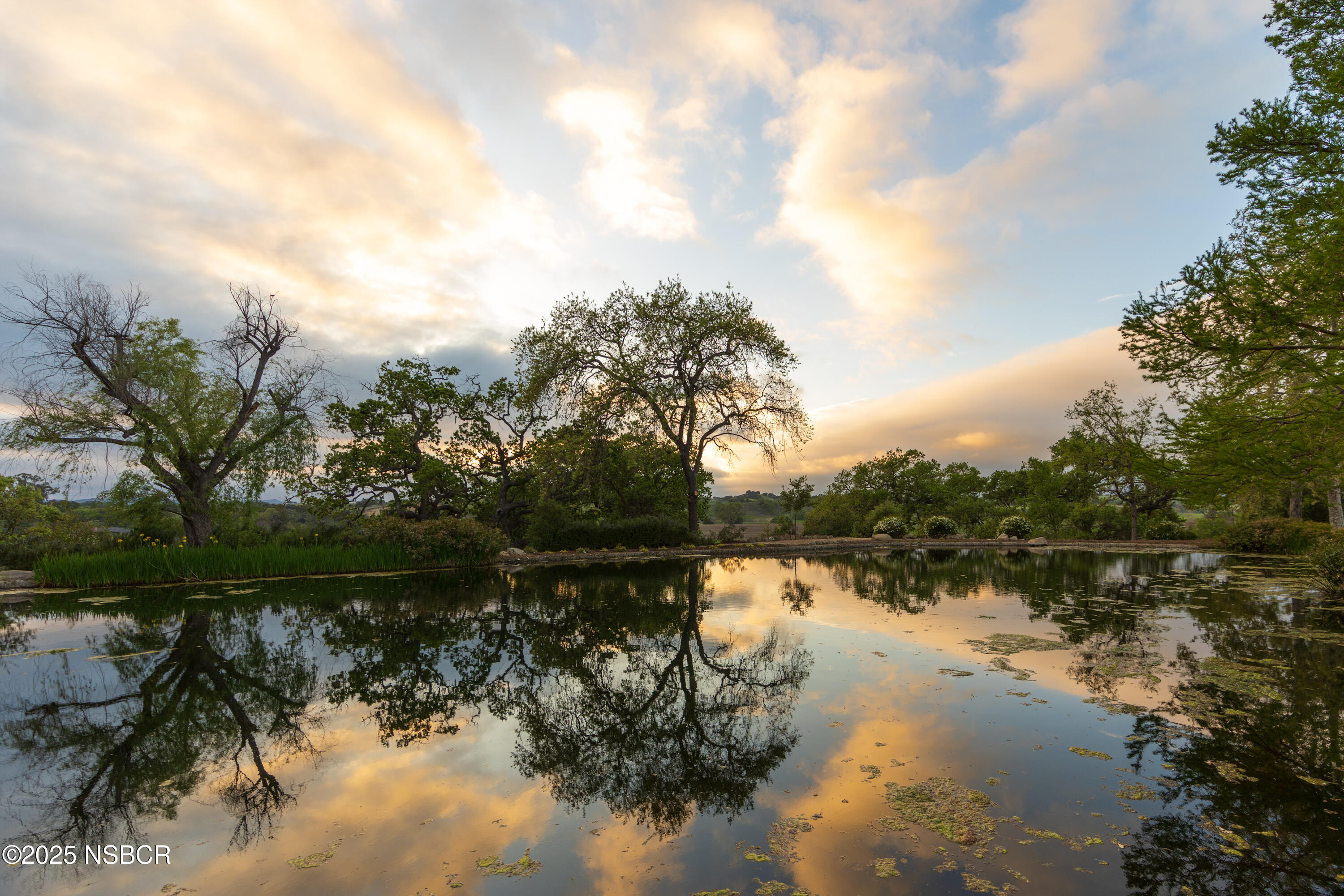 Los Olivos, California 93441, United States, 3 Bedrooms Bedrooms, ,5 BathroomsBathrooms,Residential,Active,237705