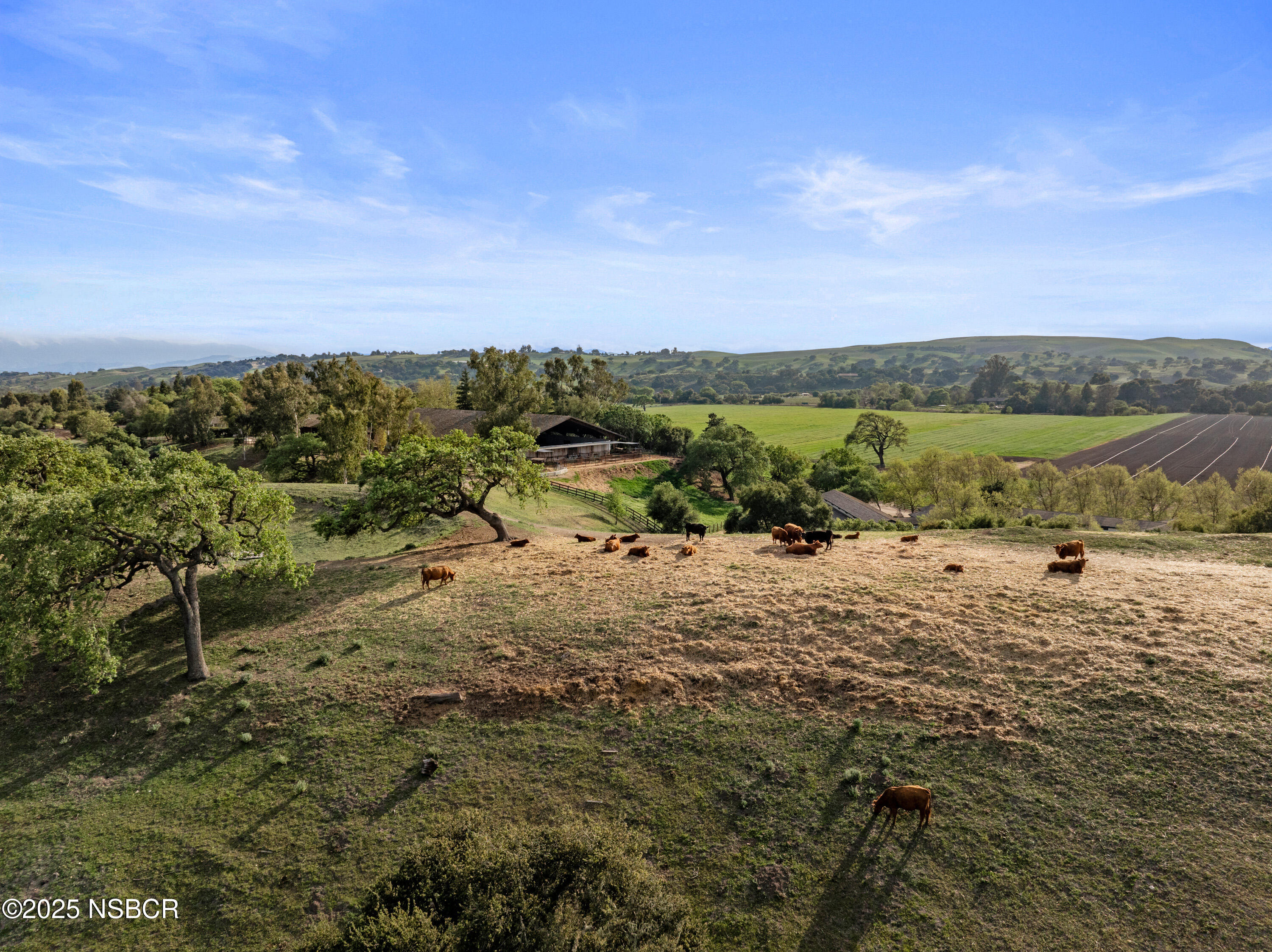 Los Olivos, California 93441, United States, 3 Bedrooms Bedrooms, ,5 BathroomsBathrooms,Residential,Active,237705