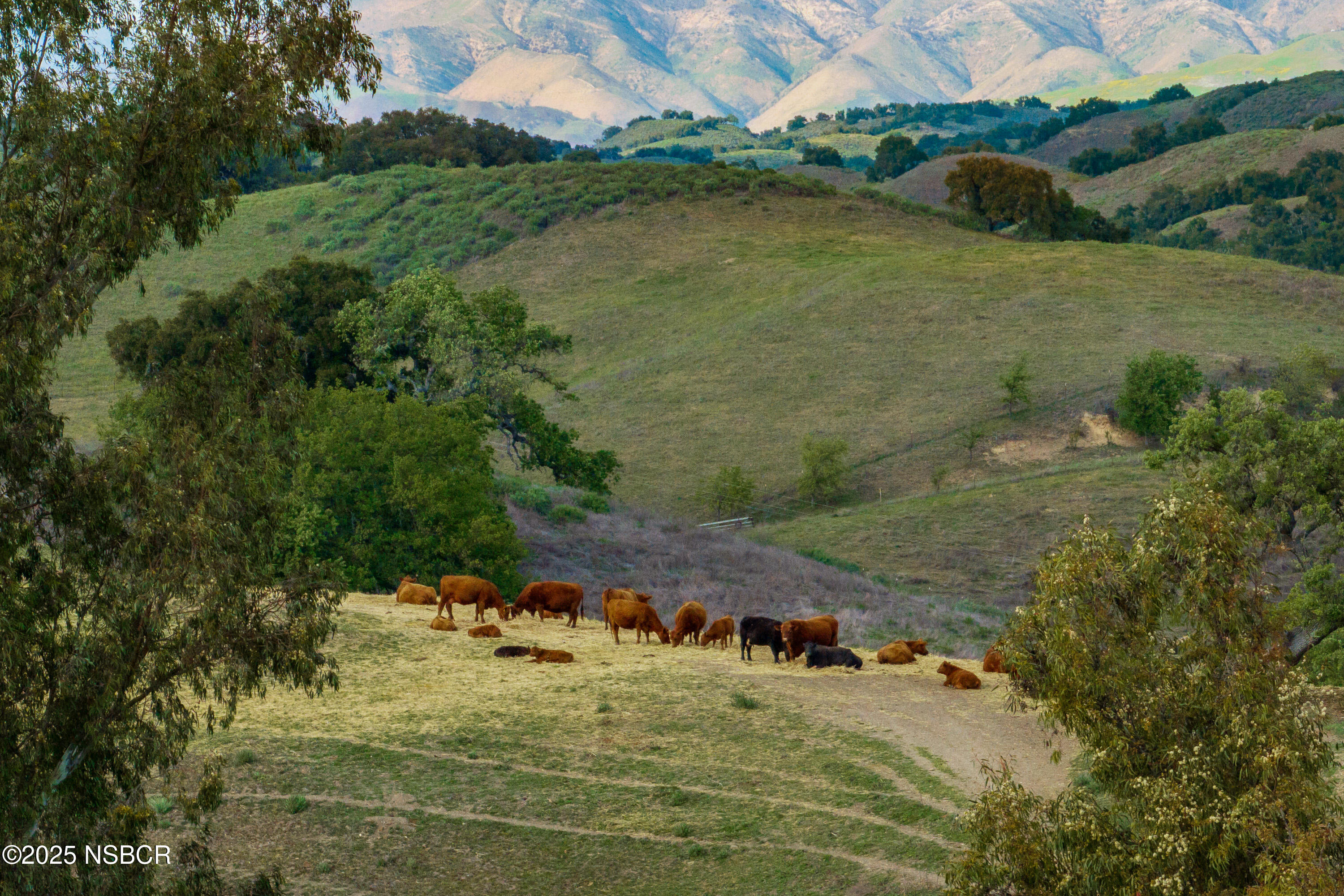 Los Olivos, California 93441, United States, 3 Bedrooms Bedrooms, ,5 BathroomsBathrooms,Residential,Active,237705