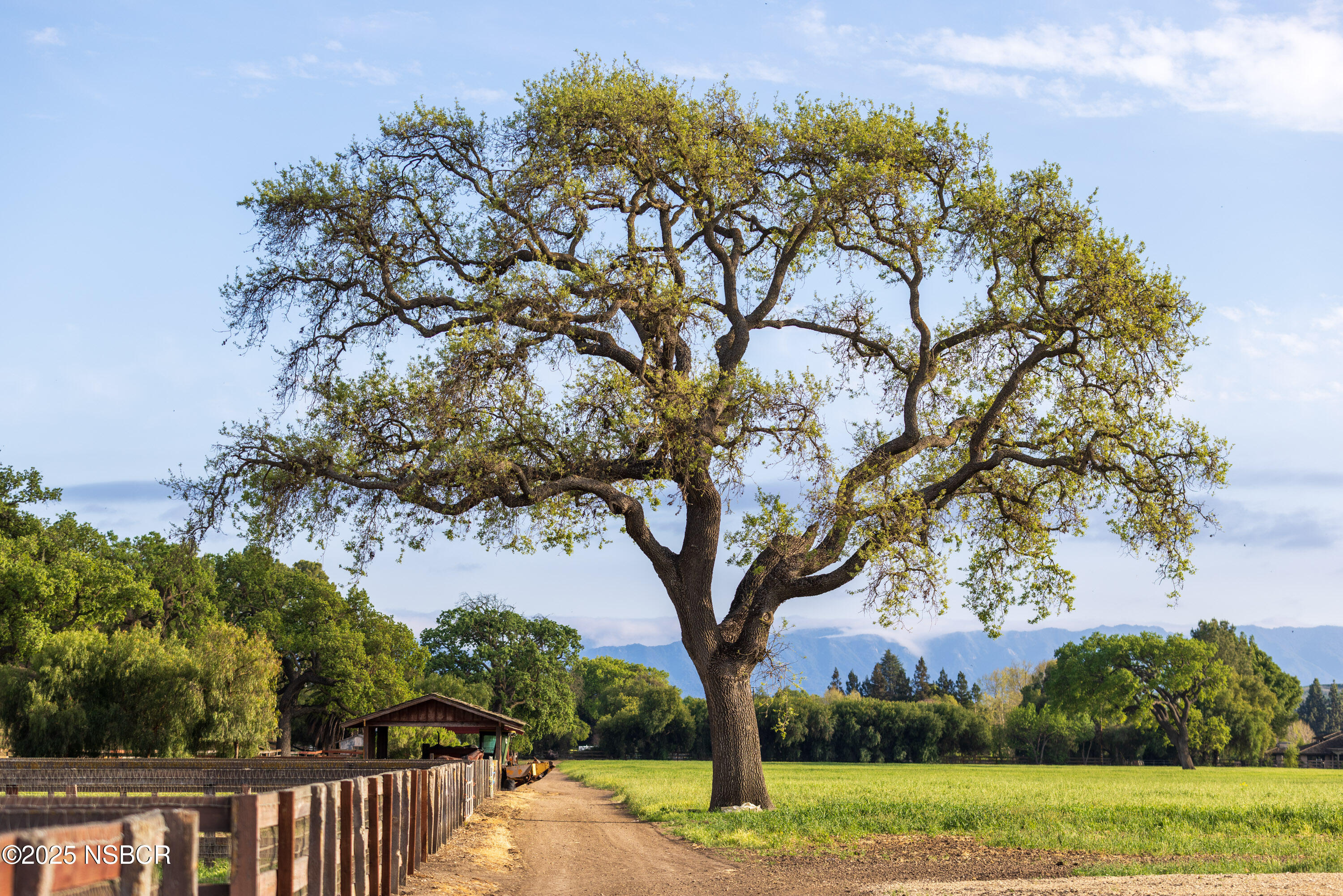 Los Olivos, California 93441, United States, 3 Bedrooms Bedrooms, ,5 BathroomsBathrooms,Residential,Active,237705