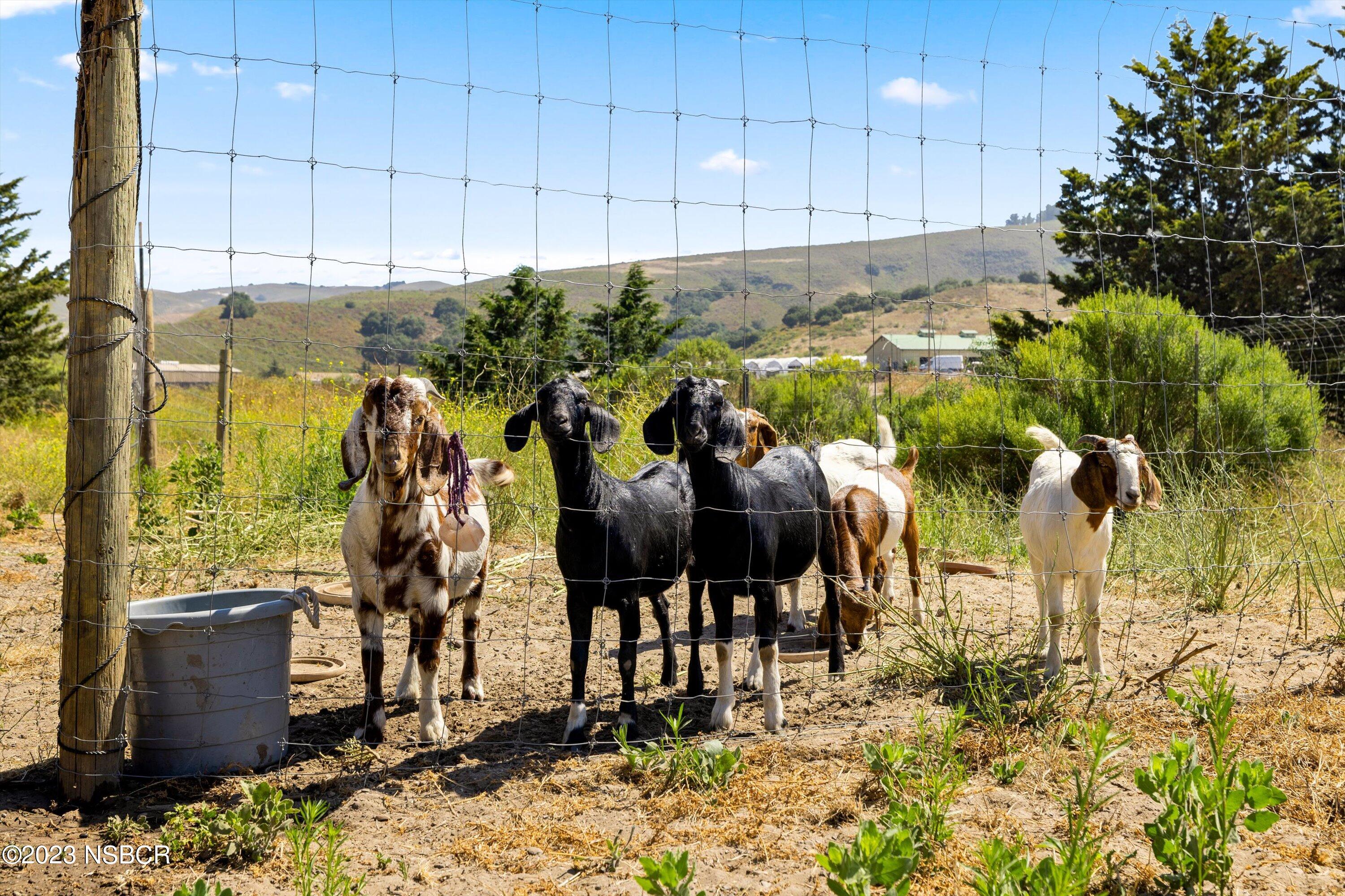 Lompoc, California 93436, United States, 3 Bedrooms Bedrooms, ,2 BathroomsBathrooms,Residential,Active,71315