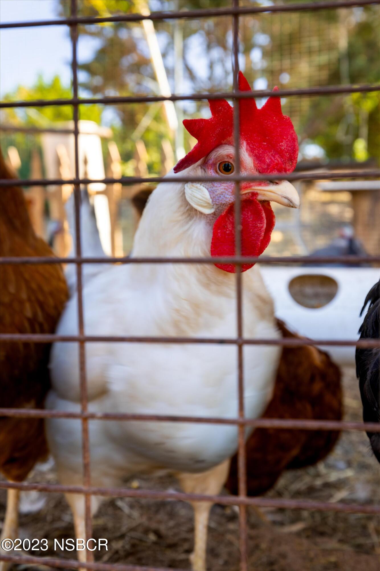 Lompoc, California 93436, United States, 3 Bedrooms Bedrooms, ,2 BathroomsBathrooms,Residential,Active,71315