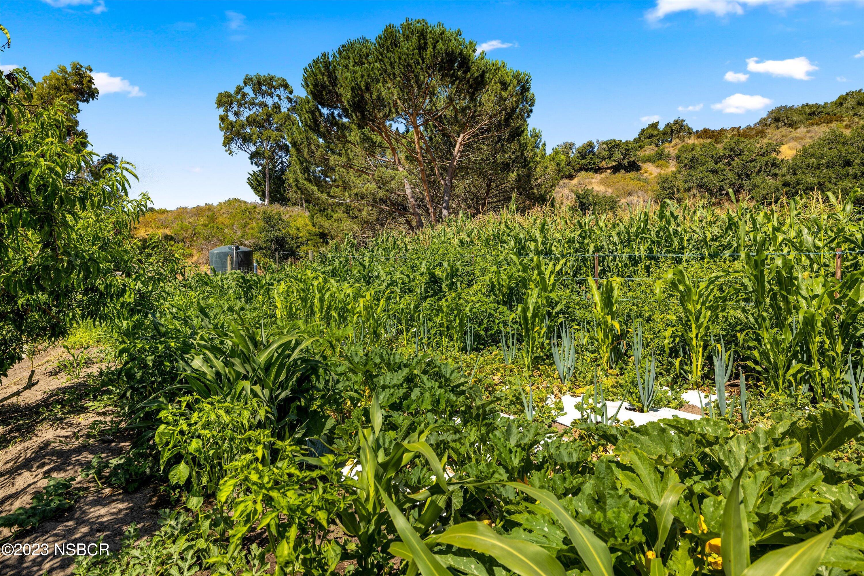 Lompoc, California 93436, United States, 3 Bedrooms Bedrooms, ,2 BathroomsBathrooms,Residential,Active,71315