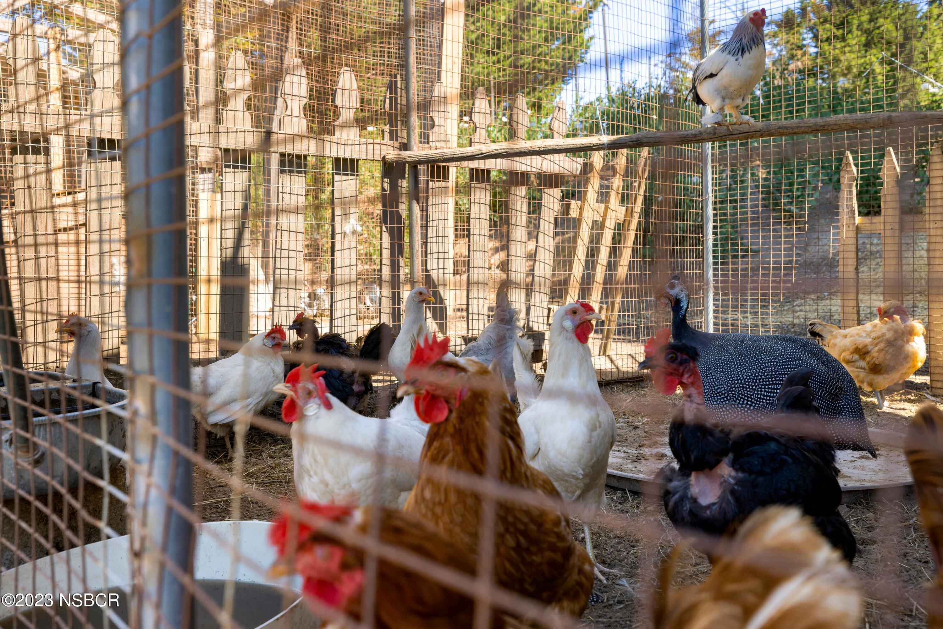 Lompoc, California 93436, United States, 3 Bedrooms Bedrooms, ,2 BathroomsBathrooms,Residential,Active,71315