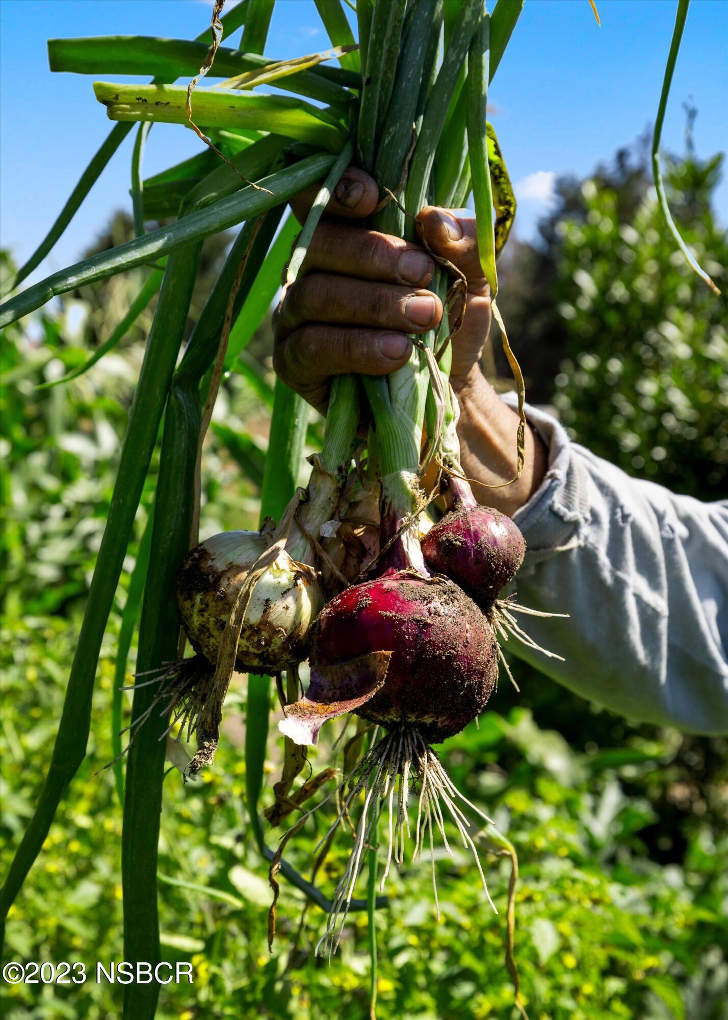 Lompoc, California 93436, United States, 3 Bedrooms Bedrooms, ,2 BathroomsBathrooms,Residential,Active,71315