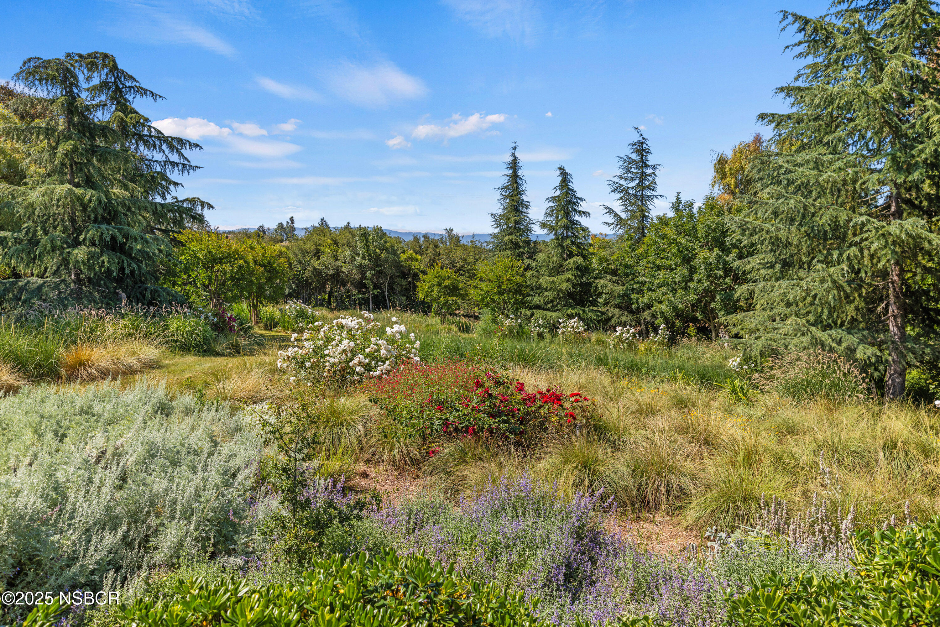 Solvang, California 93463, United States, 5 Bedrooms Bedrooms, ,4 BathroomsBathrooms,Residential,Active,165846