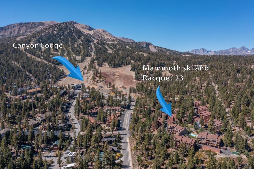 Photo of 248 Mammoth Slopes Dr #23, Mammoth Lakes, CA 93546 (MLS # 250690)