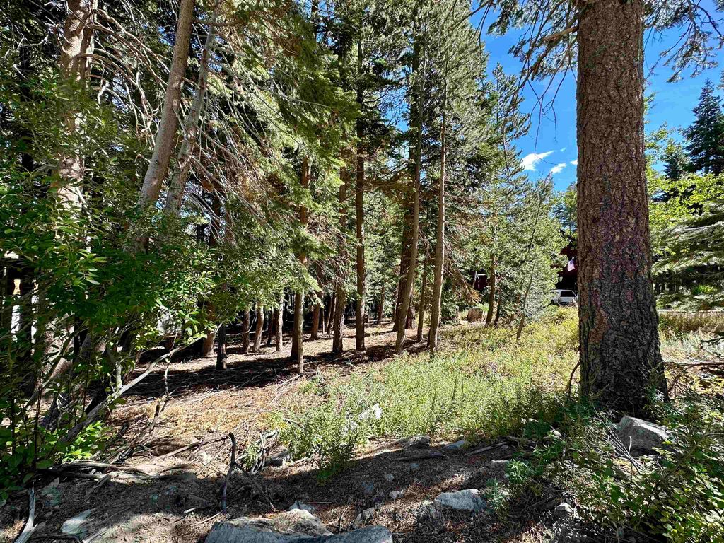 Photo of 123 Woodman Street #16, Mammoth Lakes, CA 93546 (MLS # 250353)