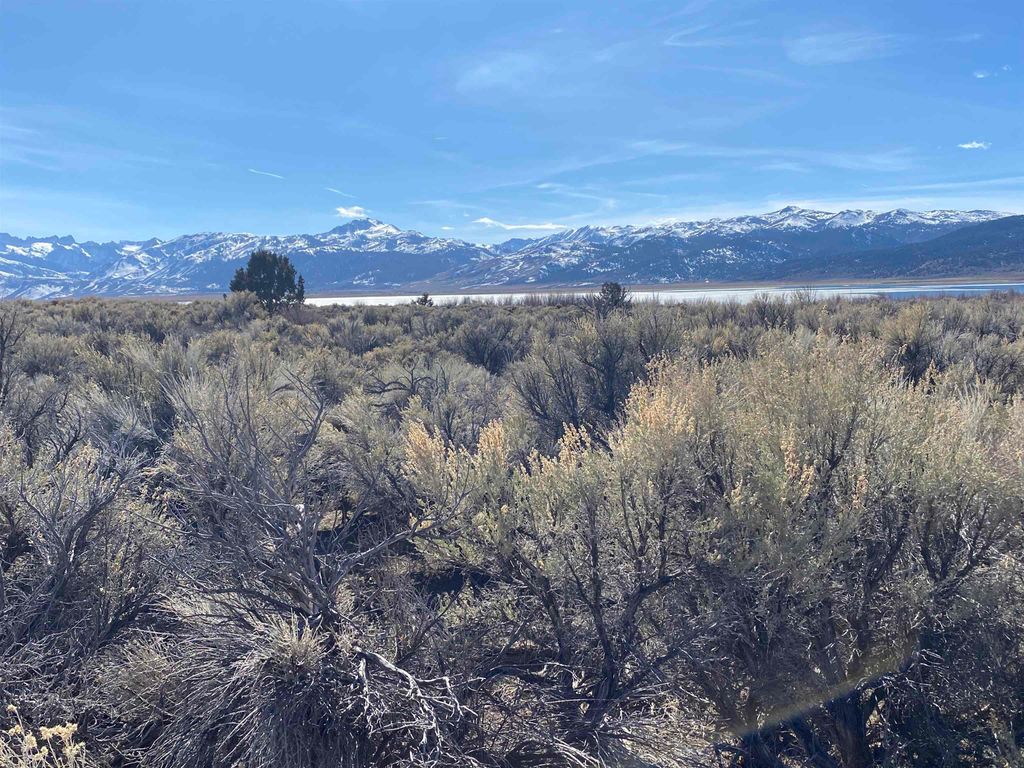 Photo of 235 Lakeside Dr #19, Bridgeport, CA 93517 (MLS # 250545)