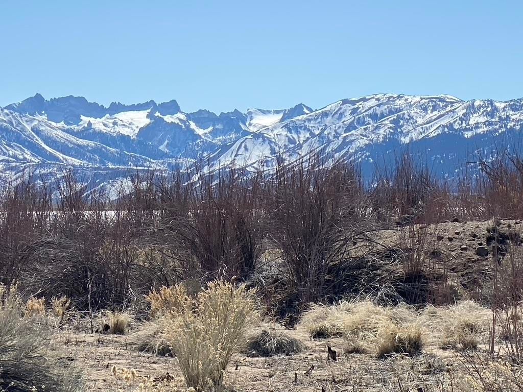 Photo of 235 Lakeside Dr #19, Bridgeport, CA 93517 (MLS # 250545)