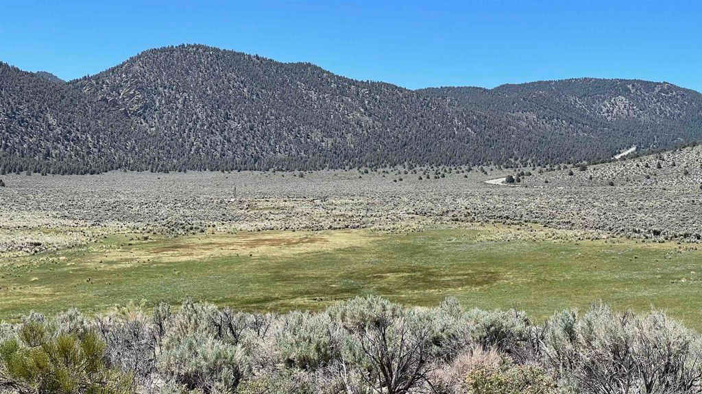 Photo of Benton Crossing Road #5, Benton, CA 93512 (MLS # 250573)