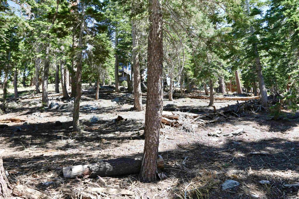 Photo of 29 Taylor Street #17, Mammoth Lakes, CA 93546 (MLS # 250395)