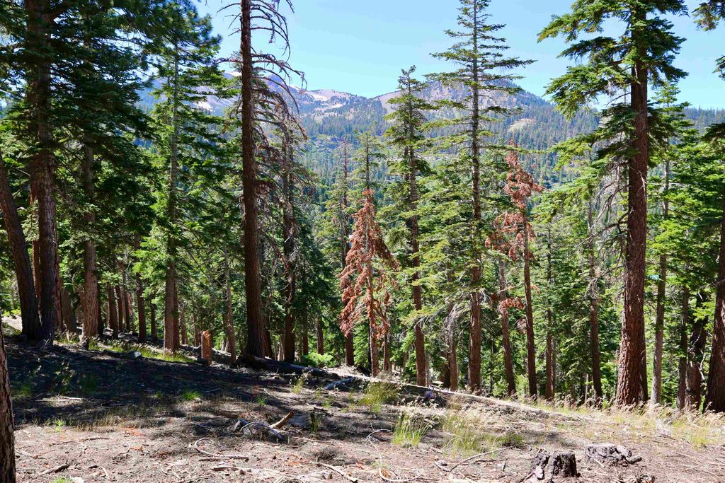 Photo of 29 Taylor Street #17, Mammoth Lakes, CA 93546 (MLS # 250395)