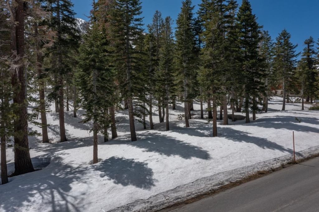 Photo of 300 Le Verne St #38, Mammoth Lakes, CA 93546 (MLS # 250237)