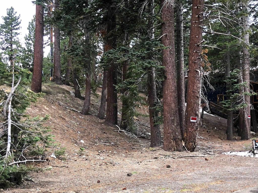 Photo of 3 Berner St. St #70, Mammoth Lakes, CA 93546 (MLS # 250334)
