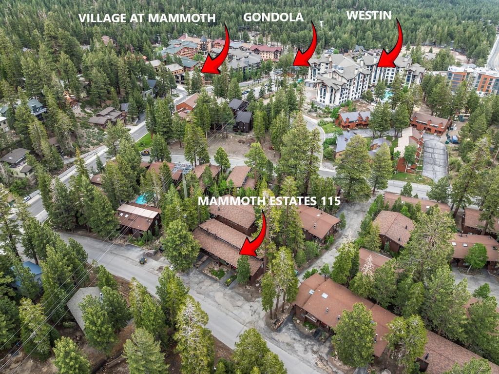 Photo of 221 Canyon Blvd. Blvd #115, Mammoth Lakes, CA 93546 (MLS # 250467)