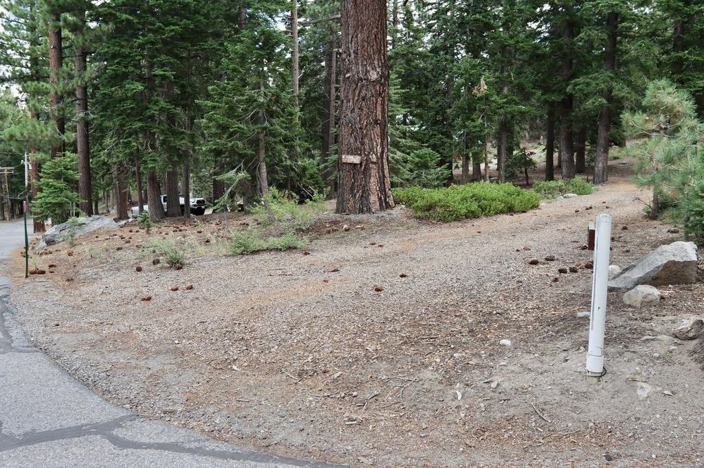 Photo of 167 Crawford Ave #4,5,6,7,+, Mammoth Lakes, CA 93546 (MLS # 250186)
