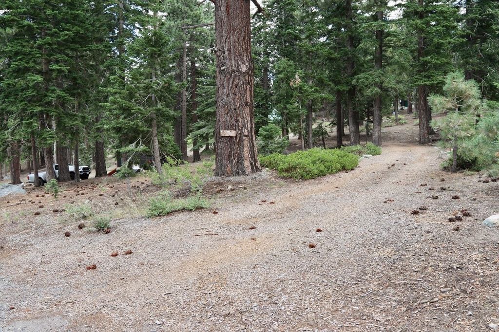 Photo of 167 Crawford Ave #4,5,6,7,+, Mammoth Lakes, CA 93546 (MLS # 250186)