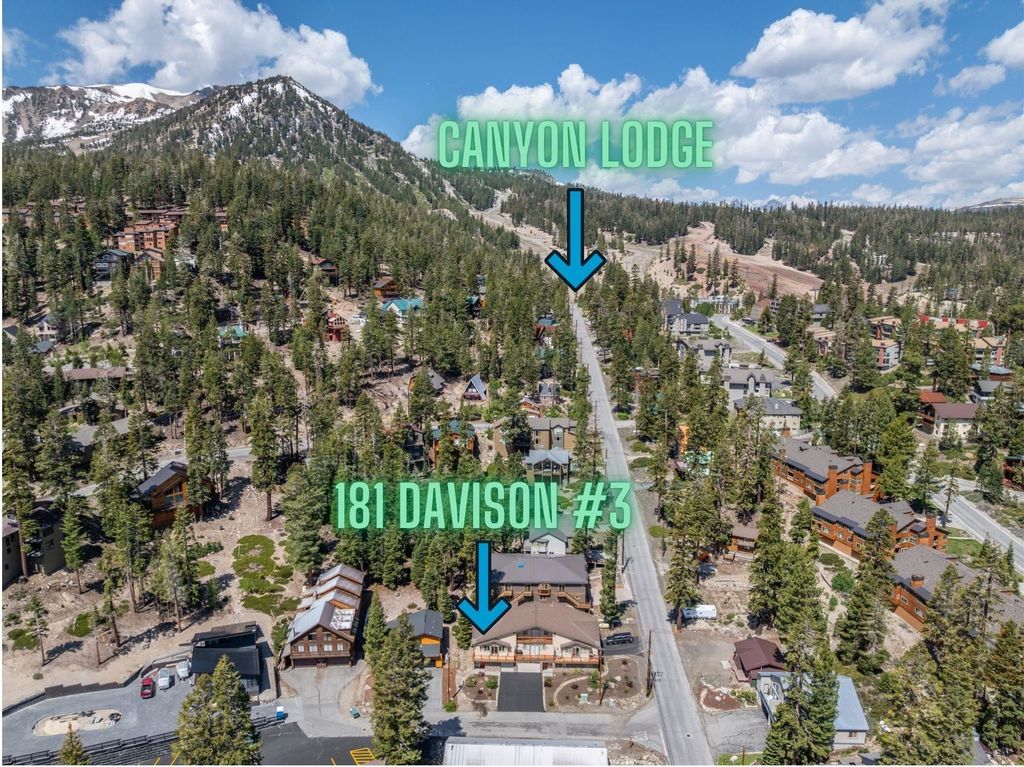 Photo of 181 Davison Road #C, Mammoth Lakes, CA 93546 (MLS # 250405)