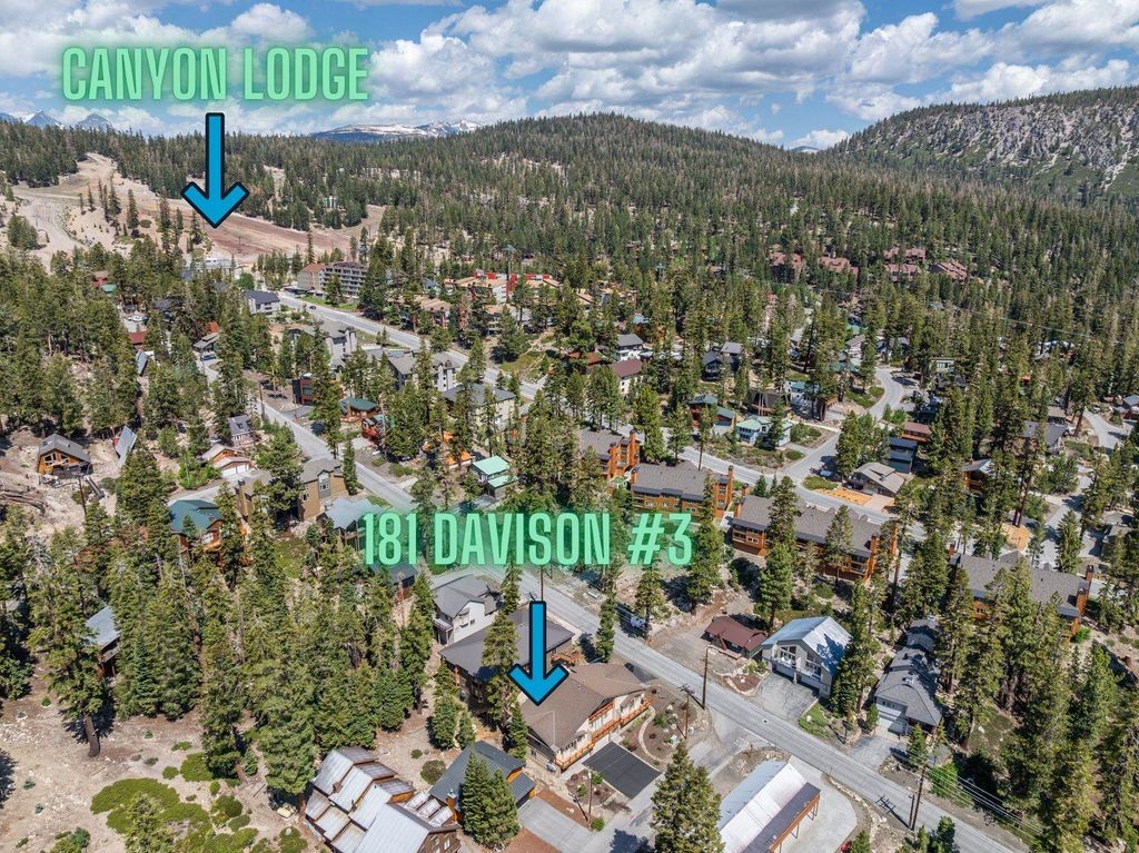 Photo of 181 Davison Road #C, Mammoth Lakes, CA 93546 (MLS # 250405)