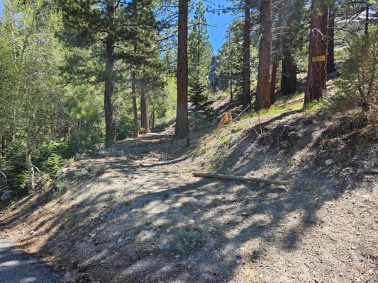 22 ASPEN RD, JUNE LAKE, CA 93529 - Image 3b13124c8d613dca62df2f6f90ffae66/1969314256
