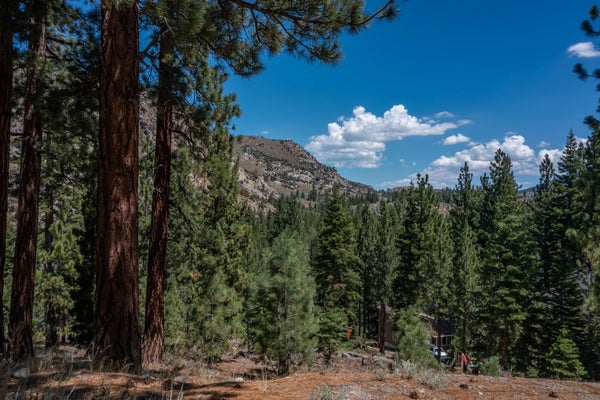 MONO DR, JUNE LAKE, CA 93529 - Image 5ba223c62bee47f8a16fbc5b6ee0b27d/3480967948