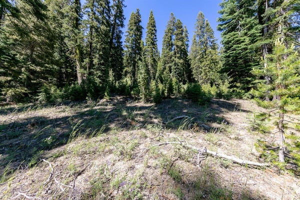 ADDRESS PRIVATE, TWIN BRIDGES, CA 95735 - Image 4bbefead5870dc69edc645bcd2b5937d/346254981