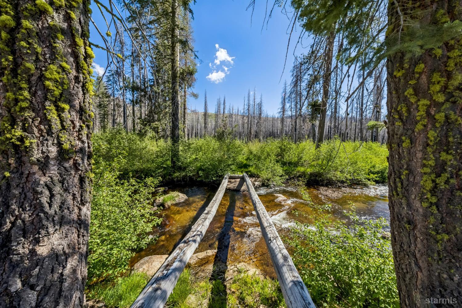 7770 Tamarack Pines Road
