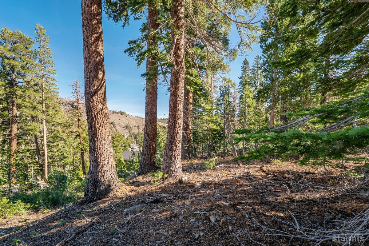 14 The Palisades unit #4