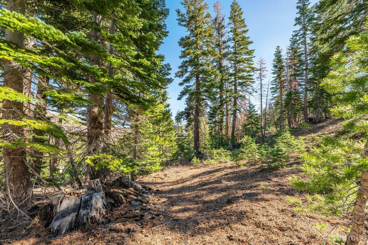 14 The Palisades unit #4