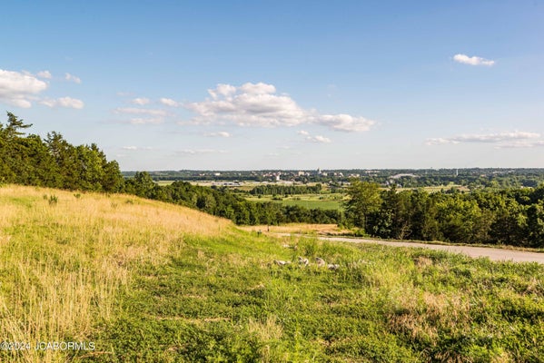 4 F ST, HOLTS SUMMIT, MO 65043 - Image 3e2d8a0dd3a051f3dc1daf0e00e6f46e/382159797