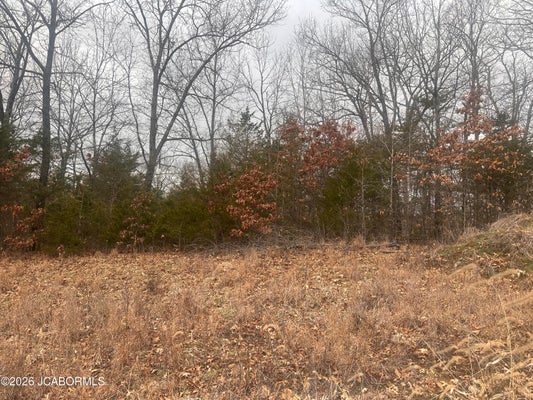 STERLING RIDGE DR, HOLTS SUMMIT, MO 65043 - Image 479a0806ea2a1f3b8da86ce63bf4233b/553001489