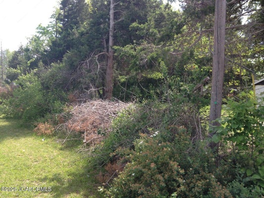 2115 N BALLENGER LN, COLUMBIA, MO 65202 - Image 92bb3a52a49b8ff8fcbe80c9b481d3a1/3290388768