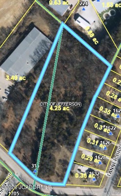 315 FLORA DR, JEFFERSON CITY, MO 65101 - Image d26f5bb7a99fbcf82311e439becf95d3/1126160683