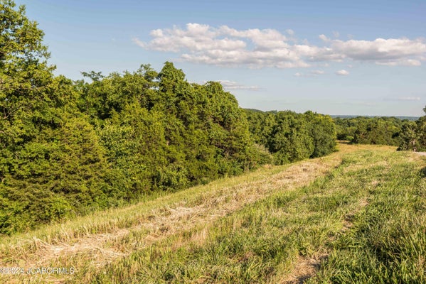 CAPITOL VIEW DR, HOLTS SUMMIT, MO 65043 - Image d4b4459e4e1eef375c18e3e7eb9cf867/1578376448